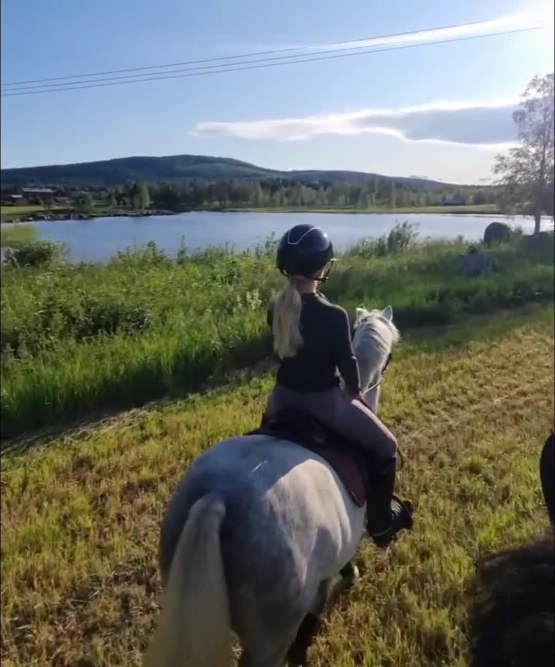 Dressyr hästar till salu: Superlöfte för de högsta klasserna i Tallåsen - Video 4