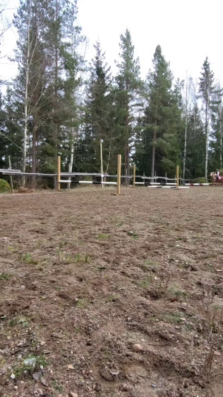 Allround hästar till salu: Intressekoll! Scilla söker sin nya lilla ryttare❤️ i Ljungsbro - Video 2