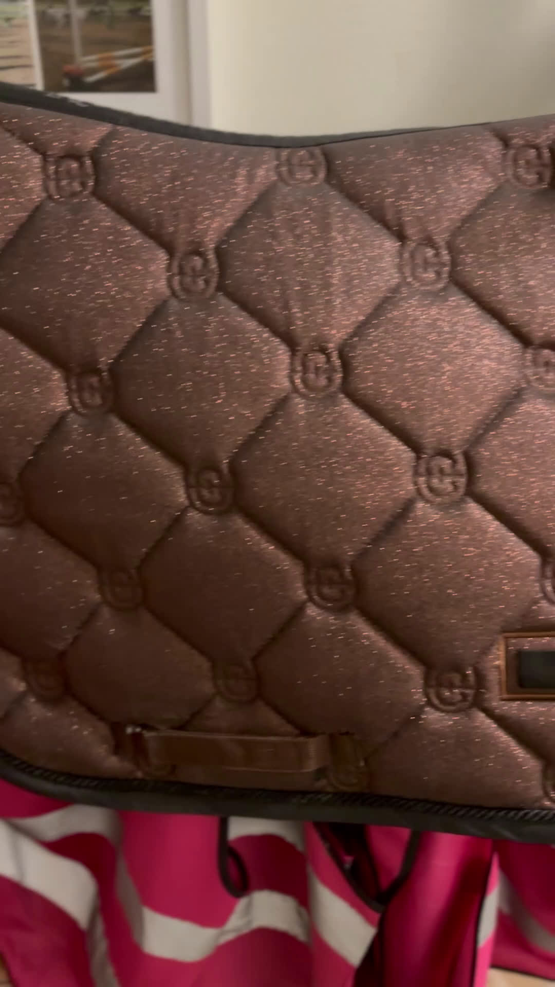 Schabrak & Vojlockar hästutrustning till salu: ES glitter schabrak i Järna - Video 3