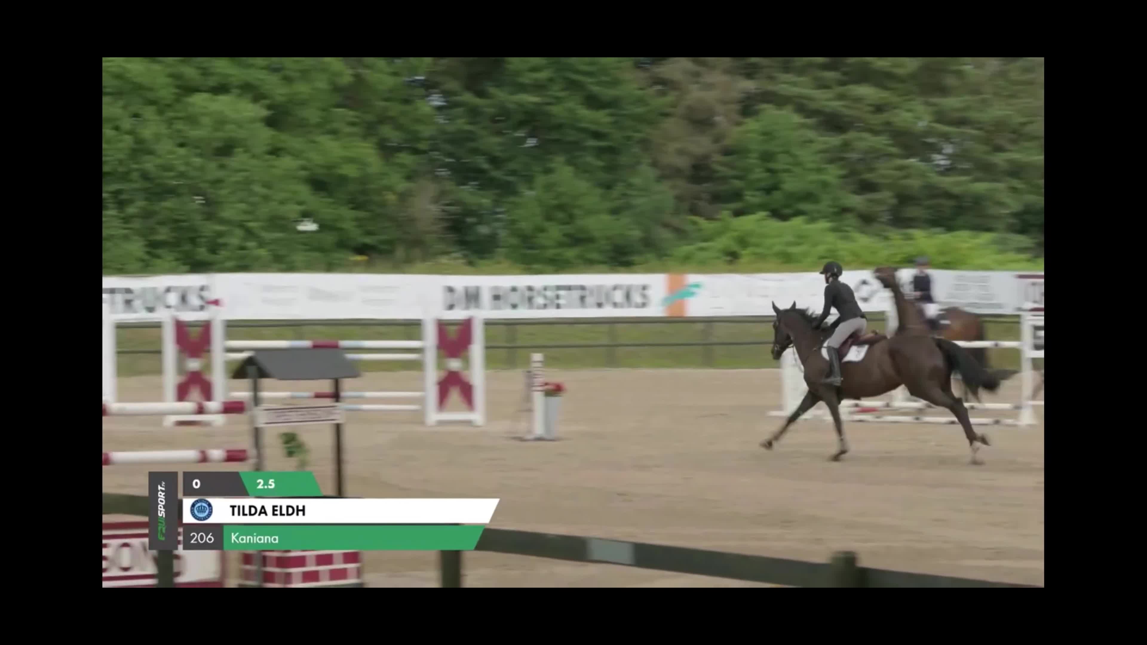 Hoppning hästar till salu: Mycket fin hopphäst - Video 1