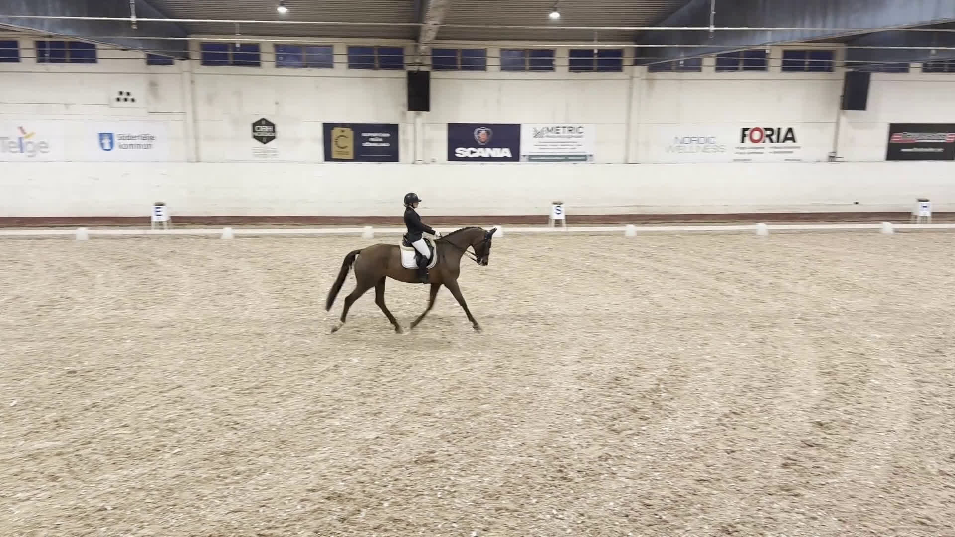 Dressyr hästar till salu: Fantastiskt sto med utstrålning i Södertälje - Video 1