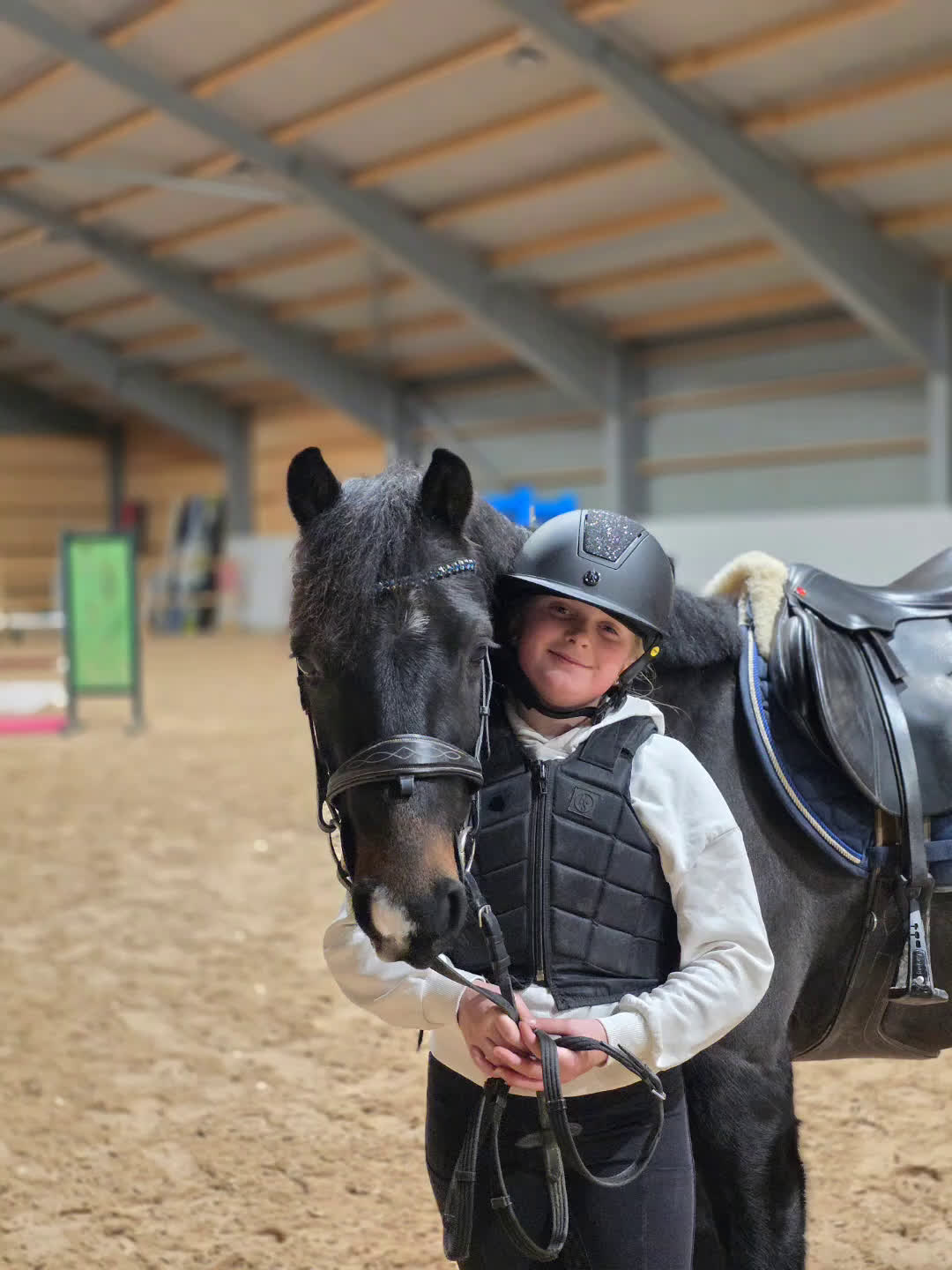 Allround hästar till salu: Toppen ponny  - Video 4