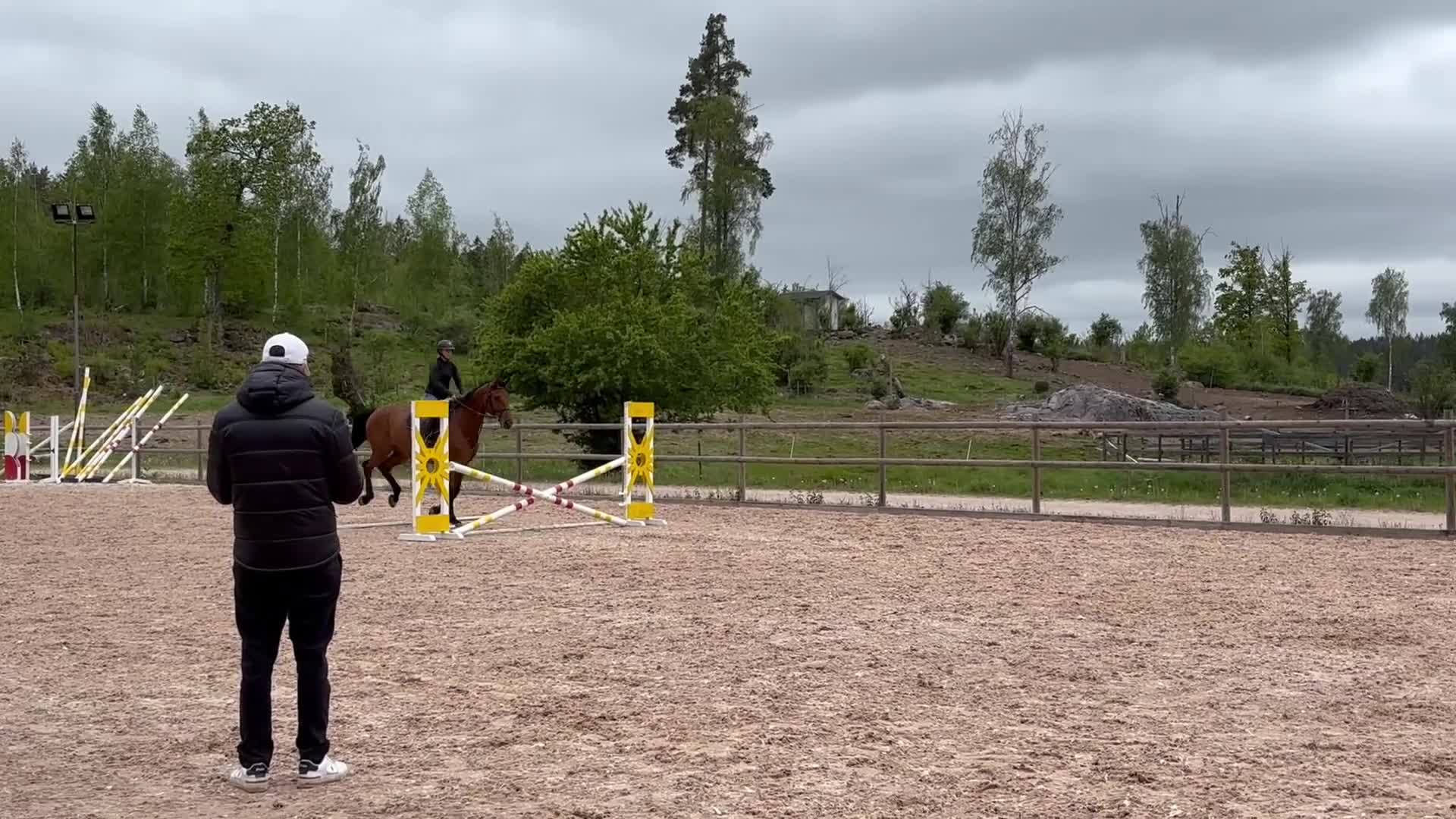 Hoppning hästar till salu: Hobby tävlings häst - Video 1