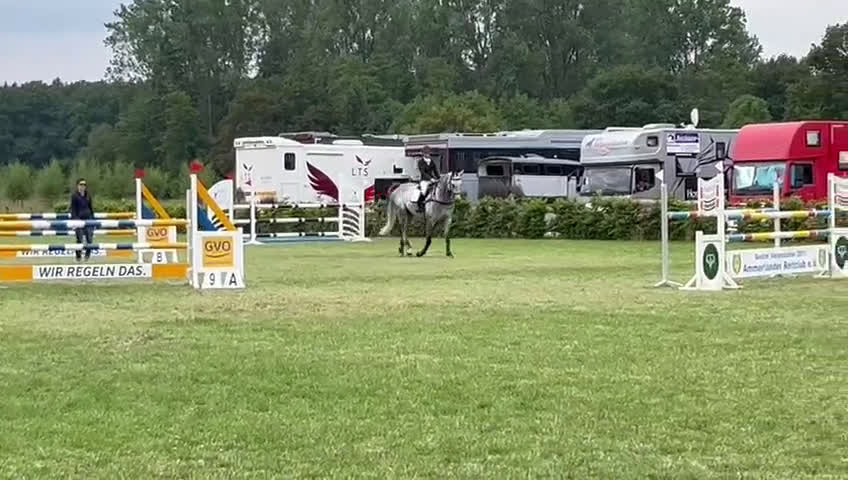 Fälttävlan hästar till salu: Fantastisk fälltävlingshast sælges✨ i Dronninglund - Video 2