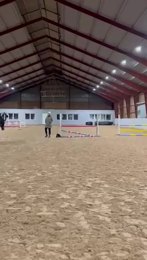 Allround hästar till salu: Fantastisk C ponny valack  - Video 2