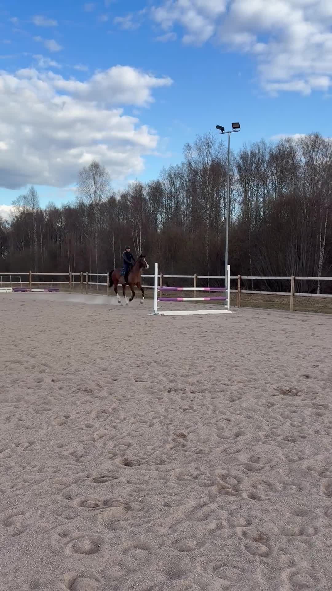 Hoppning hästar till salu: Trevlig 7 åring säljes  - Video 1
