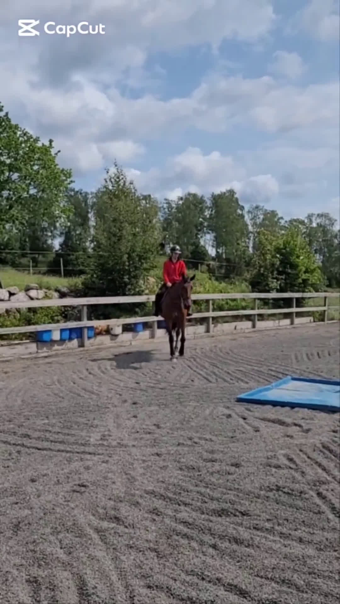 Allround hästar till salu: Underbar familjehäst/skogsmulle/mottagarsto! i Vena - Video 1