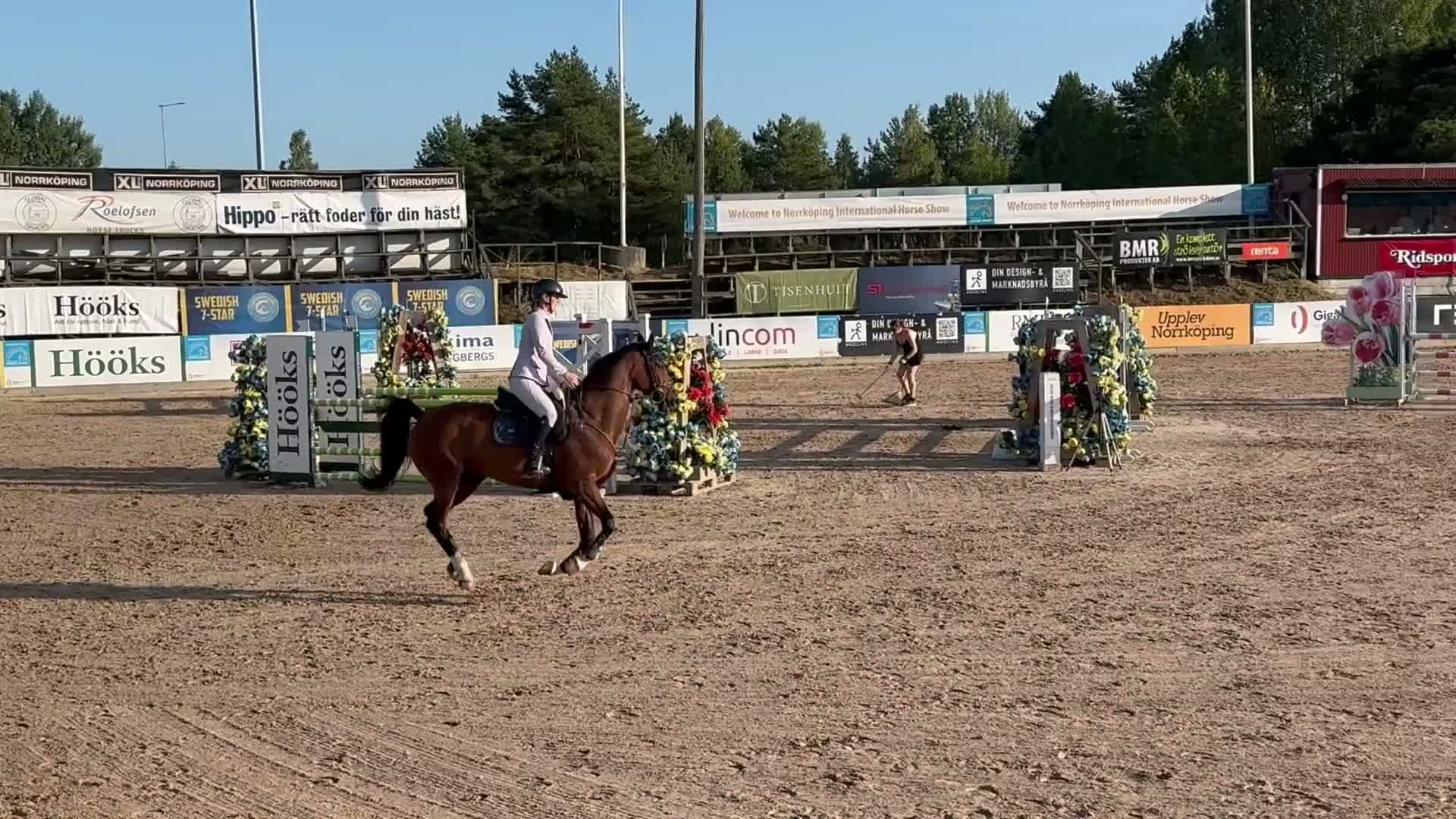 Hoppning hästar till salu: Sto med power - Video 1