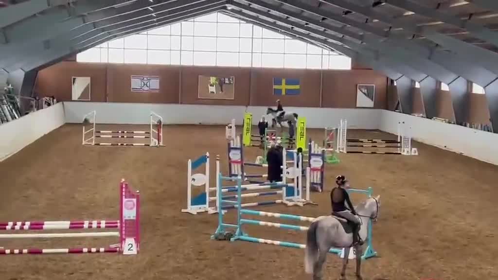 Hoppning hästar till salu: Lovande tävlingsponny med det största hjärtat i Köping - Video 1