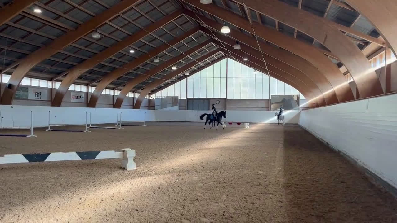 Dressyr hästar till salu: Fantastisk ponny i ”storhästformat” i Saltsjö-duvnäs - Video 2