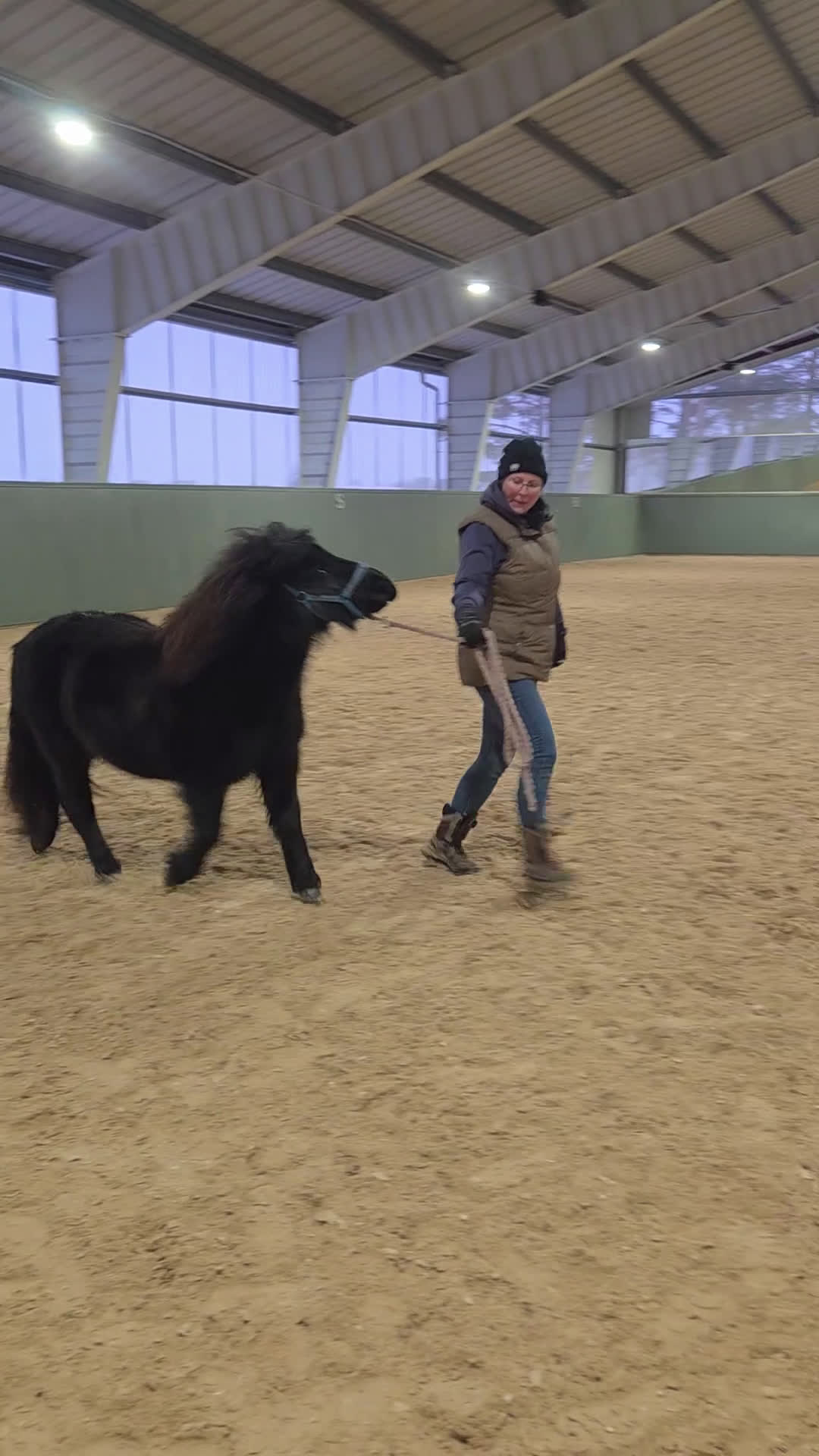 Allround hästar till salu: Supersöta Mimmi - Video 5