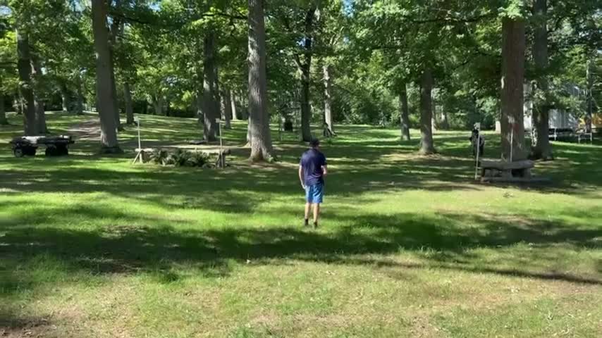 Allround hästar till salu: Världens finaste Boy - Video 4