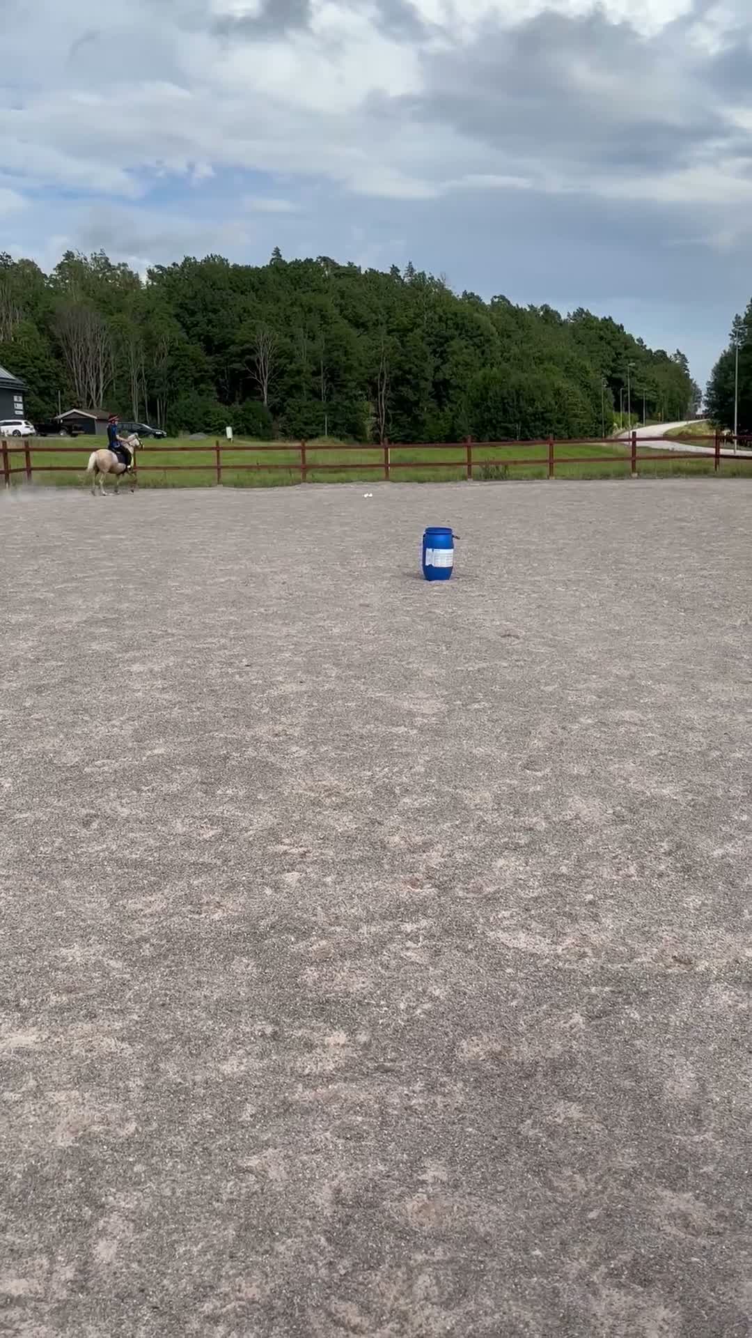Allround hästar till salu: Charmig och pigg B-ponny söker sin nya ryttare ❤️ - Video 3