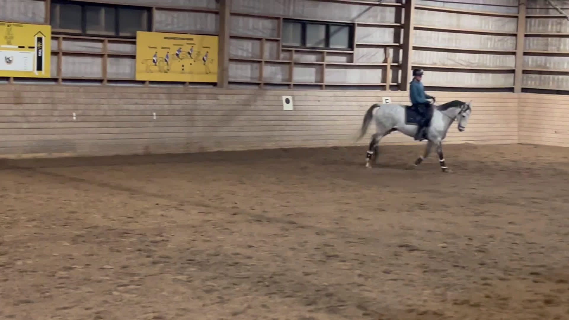 Allround hästar till salu: Bästa vän söker nytt hem 💕 i Malung - Video 1