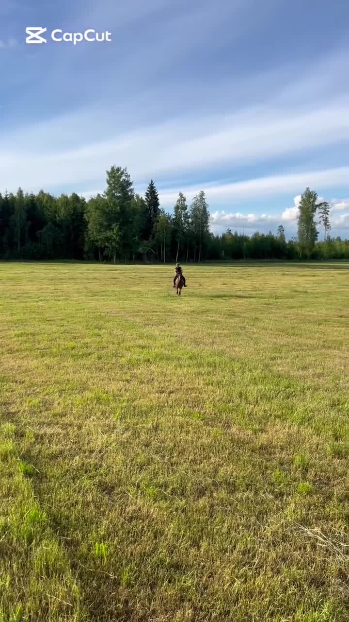 Allround hästar till salu: Maxad b-ponny sto säljes  - Video 2