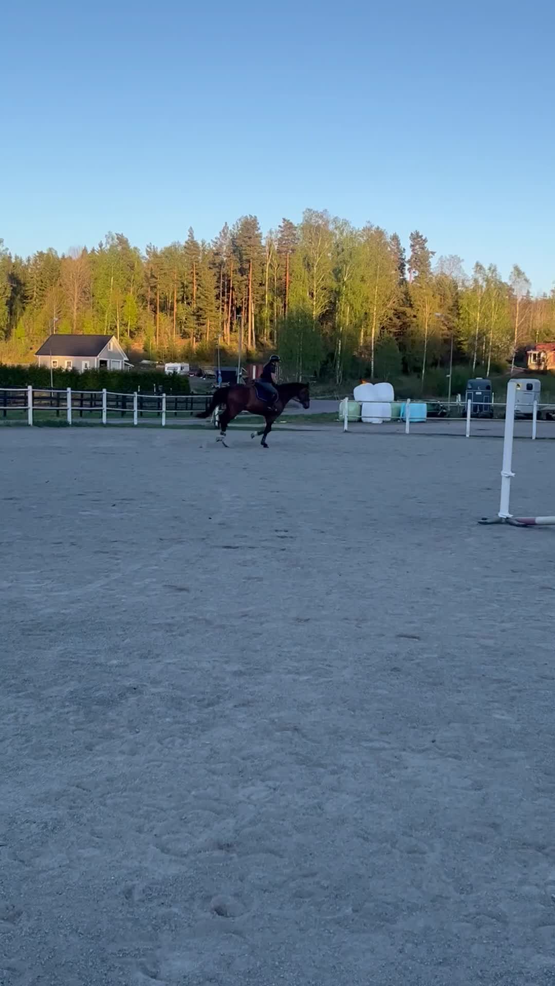 Dressyr hästar till salu: Selektions sto med fin dressyr stam  - Video 3