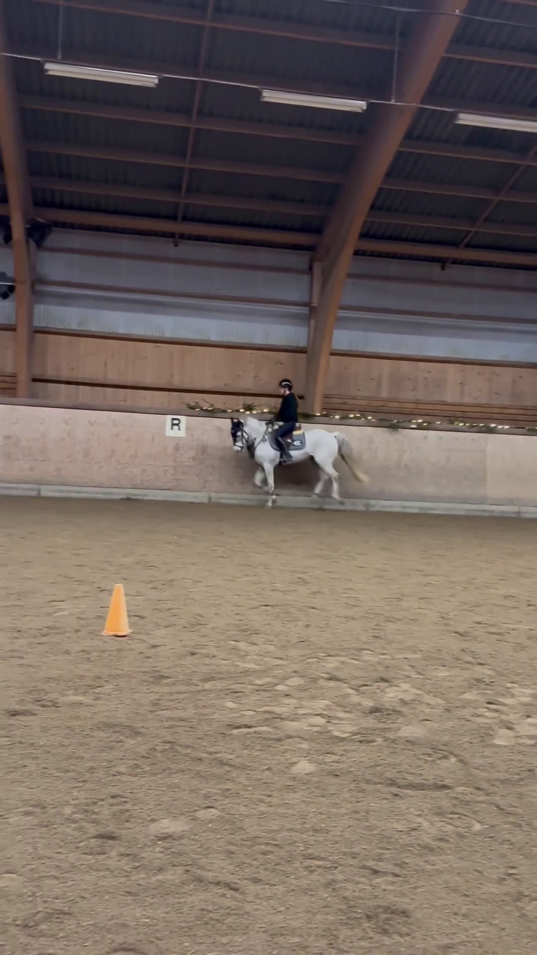 Allround hästar till salu: Ponny med kapacitet med rätt ryttare💗 - Video 3