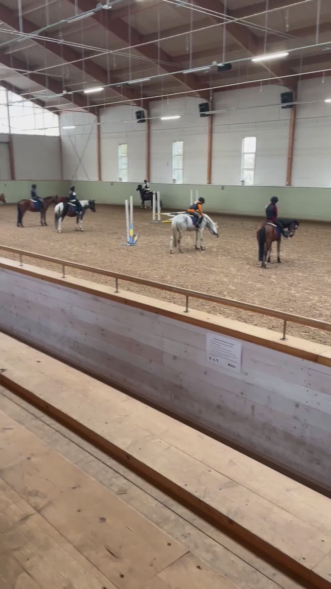  medryttarhäst sökes: Medryttarhäst SÖKES inom STOCKHOLM - Video 5