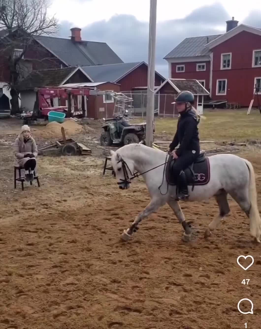 Dressyr hästar till salu: Superlöfte för de högsta klasserna i Tallåsen - Video 1