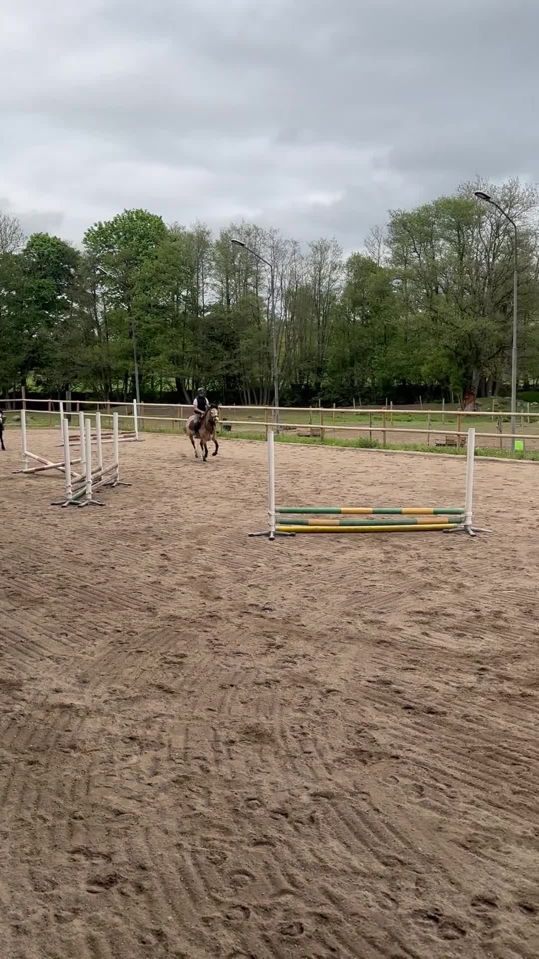 Hoppning hästar till salu: Hoppglad ponny med egen vilja & stor personlighet - Video 4