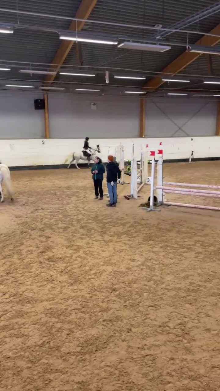 Allround hästar till salu: Bästa allround ponnyn i Öjebyn - Video 4