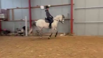 Hoppning hästar till salu: En ponny för dem stora klasserna! i Knivsta - Video 4