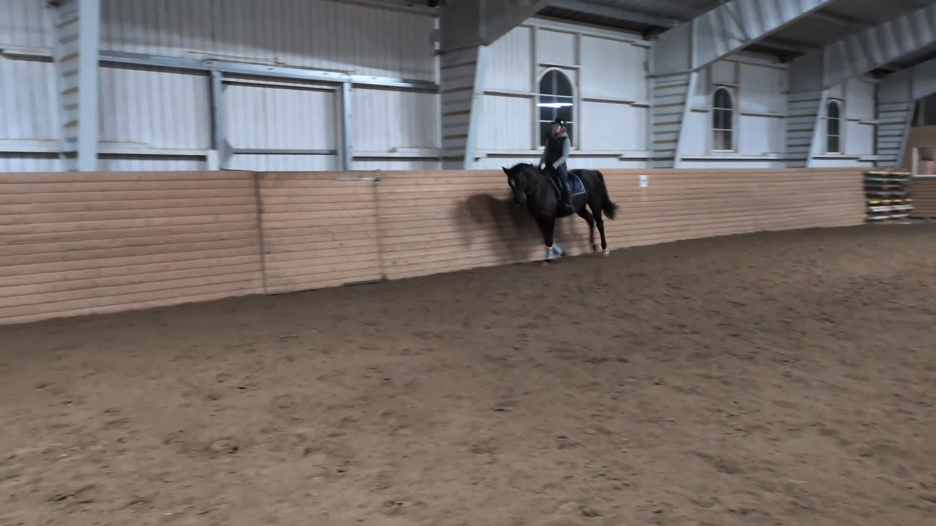 Allround hästar till salu: 🌟Fantastiskt vackra Soya 🌟 UA på export röntgen - Video 4