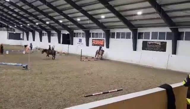 Dressyr hästar till salu: Välutbildad valack  i Varnhem - Video 2