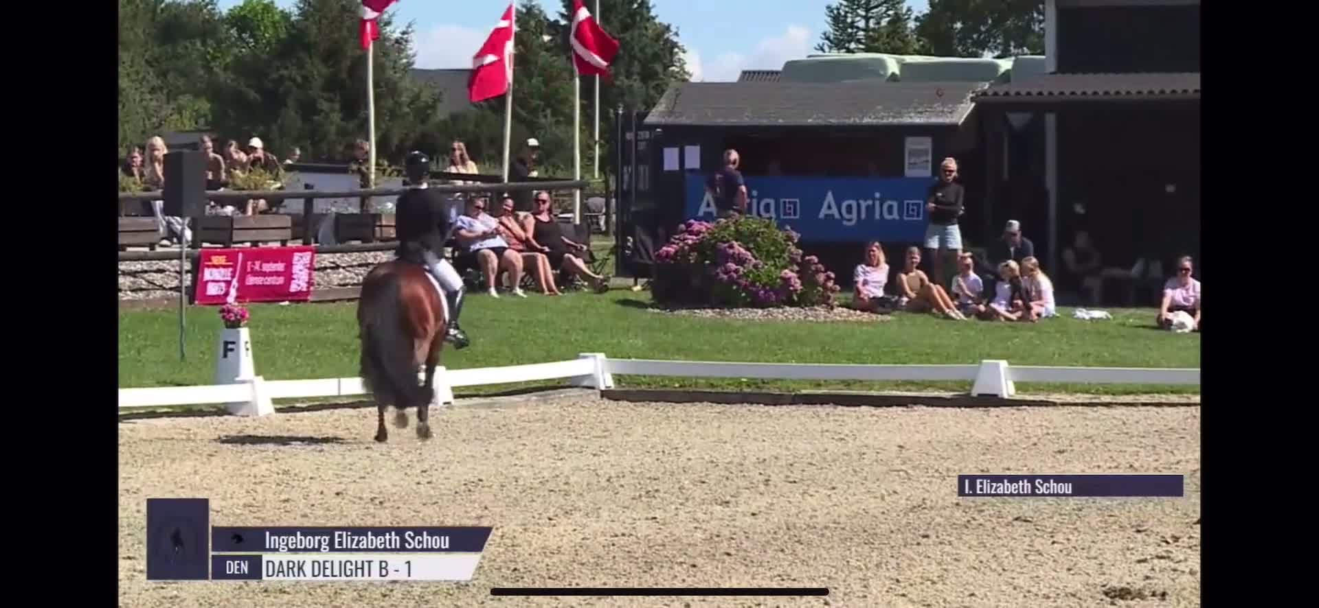 Dressyr hästar till salu: Top FEI pony  - Video 1