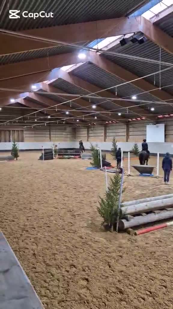 Allround hästar till salu: Trevligt fullblod för fälttävlan/hoppning - Video 2