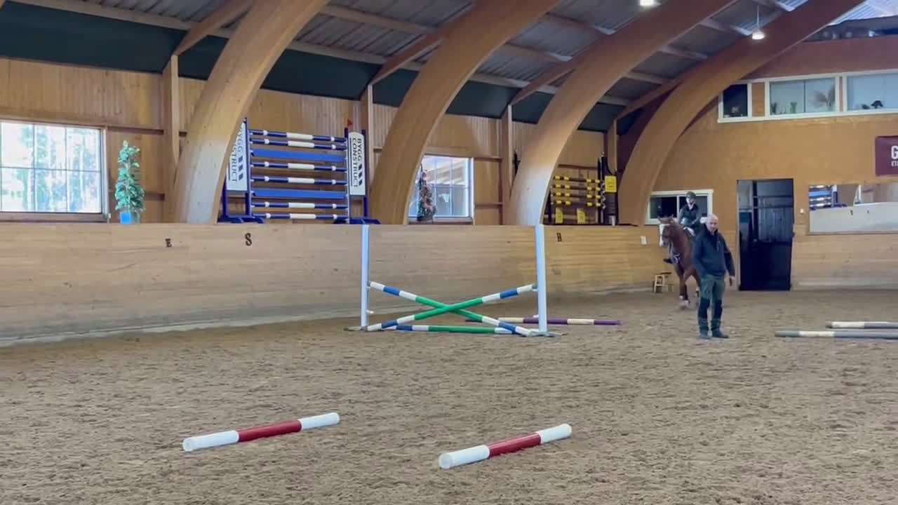  foderhäst sökes: Foderhäst (senare köp) sökes i Björklinge - Video 4