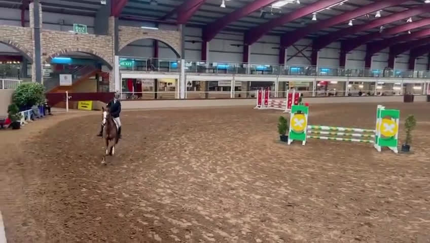 Hoppning hästar till salu: Helt fantastisk D ponny 🌸 - Video 1