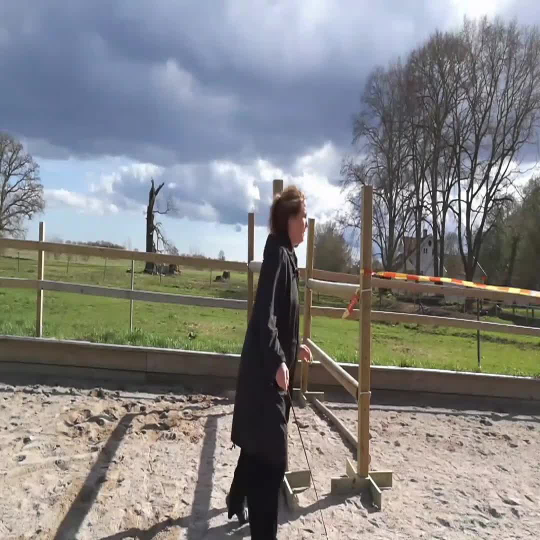 Allround hästar till salu: Bästa kompis potential i Nybro - Video 1