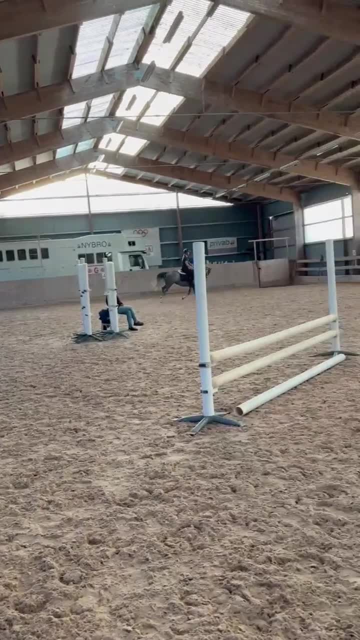 Allround hästar till salu: Välutbildad 4-åring till satsande ryttare - Video 3