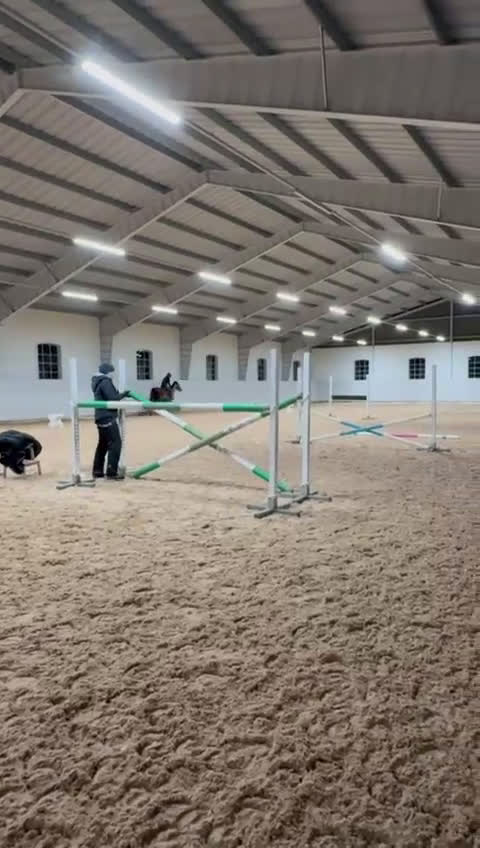 Allround hästar till salu: One in a million, vår älskade ponny söker sitt hem i Ärla - Video 2