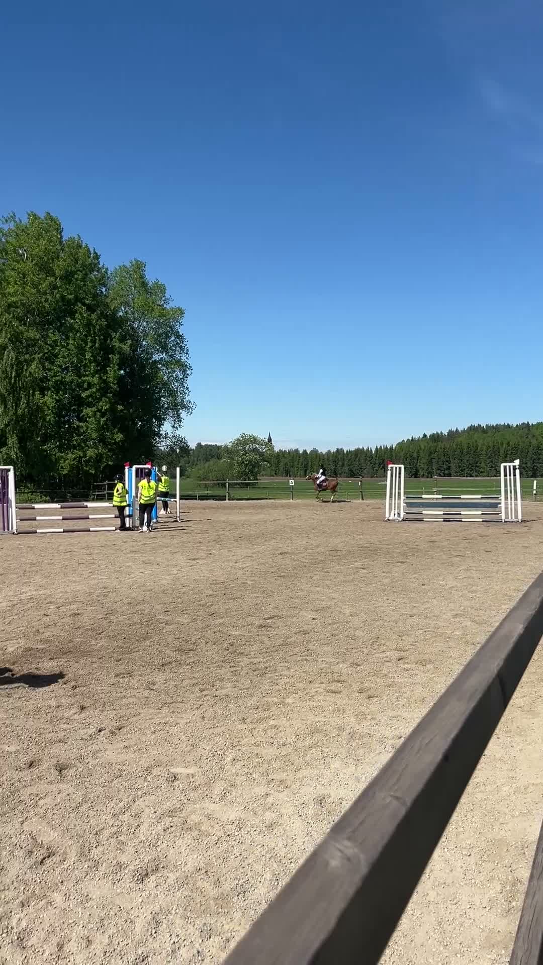 Hoppning hästar till salu: 🌟 Kvalitetsponny🌟 - Video 1