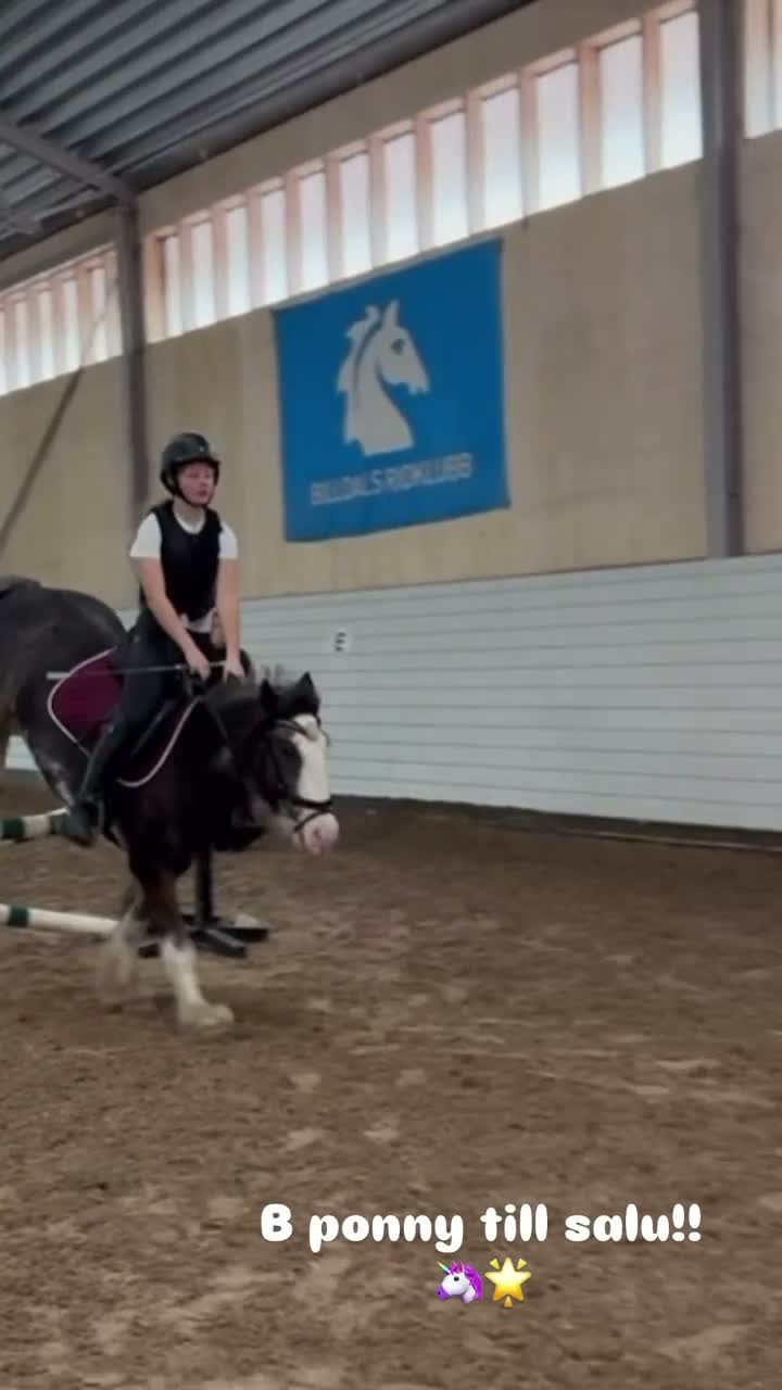 Allround hästar till salu: Underbara B-ponnyn Maisey - Video 1