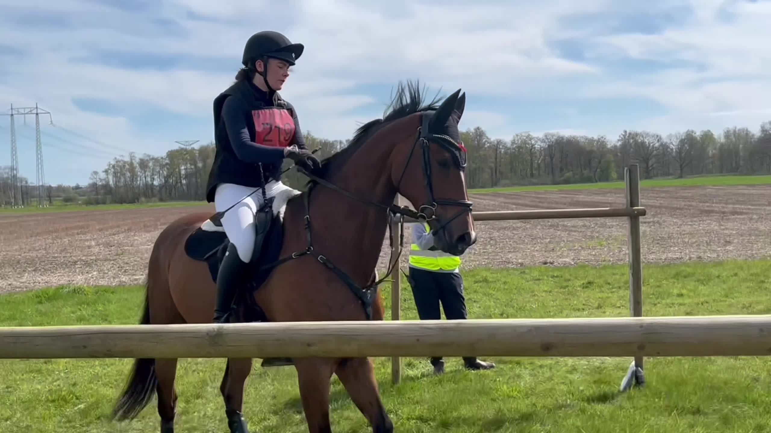 Hoppning hästar till salu: Exceptionellt sto med stor kvalitet i Hörby - Video 4