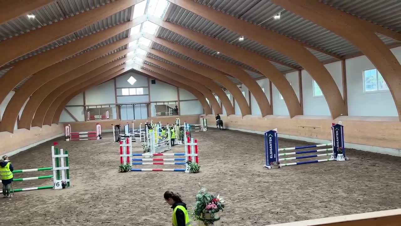 Hoppning hästar till salu: D-ponny med driv i Sigtuna - Video 3