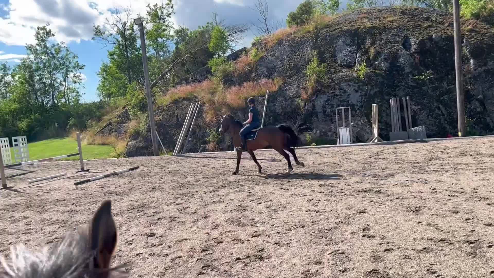 Allround hästar till salu: Trevligt sto med power  i Älvängen - Video 4