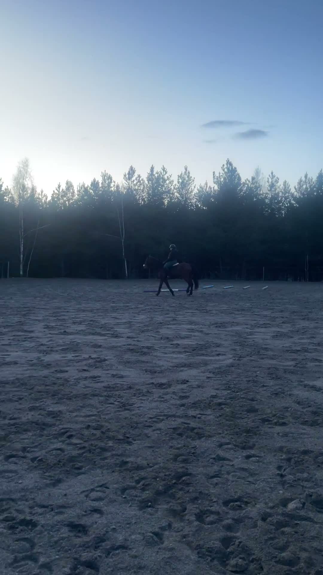 medryttarhäst finnes: Medryttare sökes - Video 2