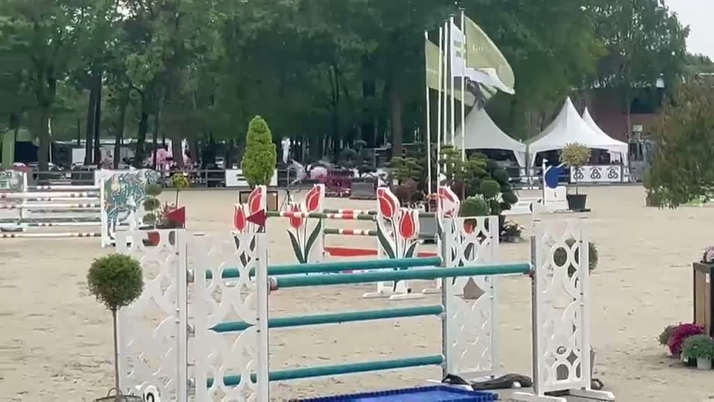 Hoppning hästar till salu: Rutinerat Tävlingsto - Video 1
