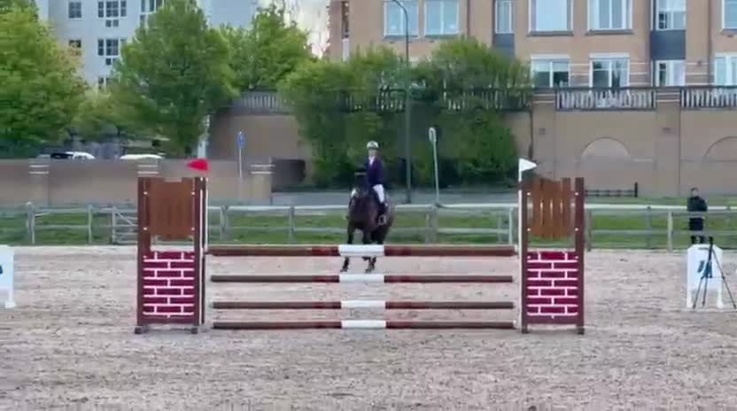 Hoppning hästar till salu: Trevligt okomplicerat sto! 🌟 - Video 1