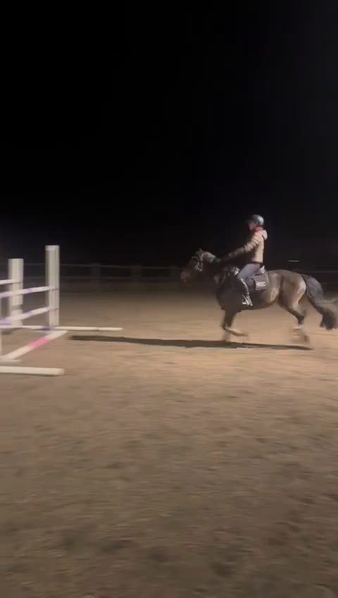 Fälttävlan hästar till salu: SM-placerad, meriterad Fälttävlansponny i Örsundsbro - Video 2