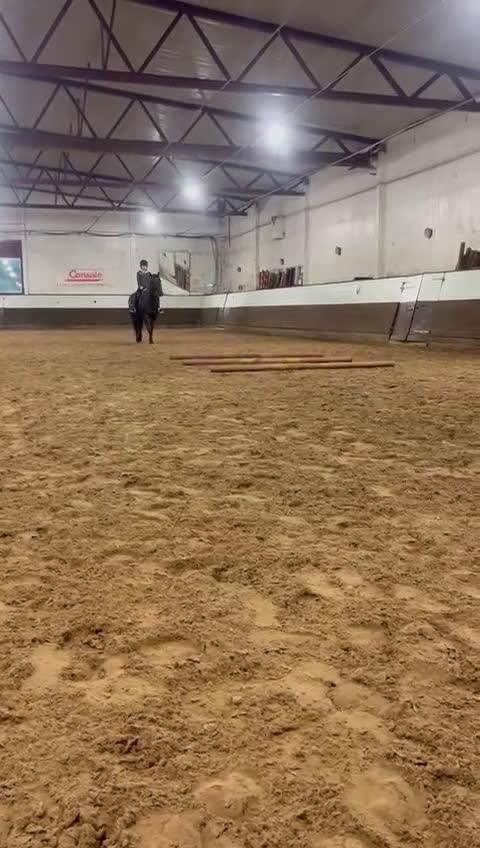 Allround hästar till salu: Sagohäst till salu! i Gustavsberg - Video 2