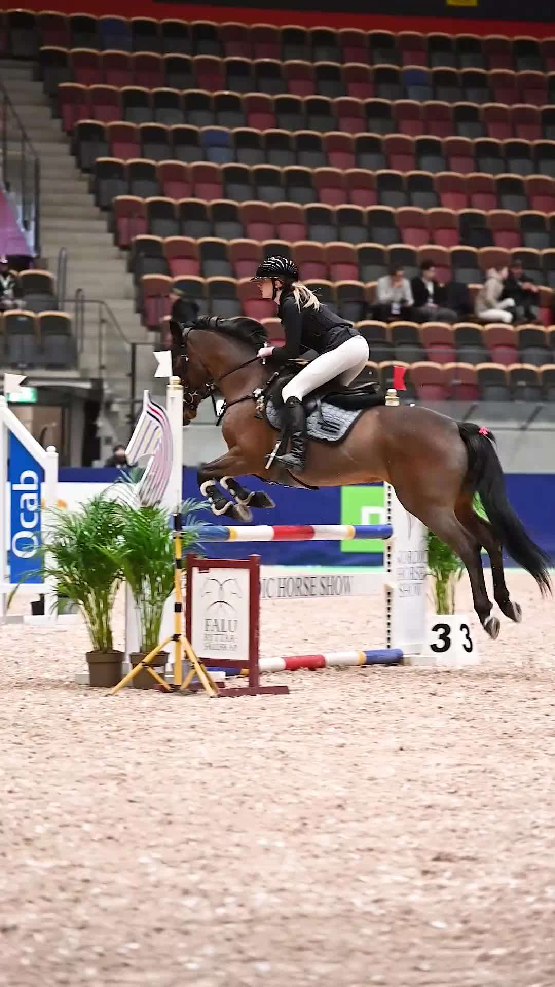 Allround hästar till salu: Ponnyn med hjärtat av guld❤️‍🔥 i Kilafors - Video 5