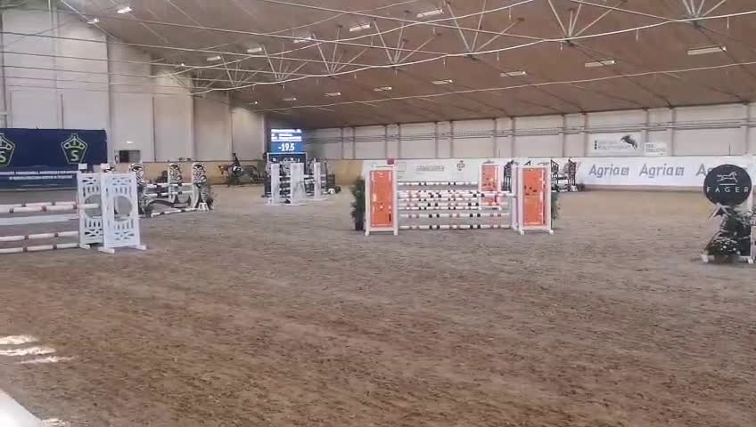 Hoppning hästar till salu: Fin häst med kapacitet! i Ingelstad - Video 1