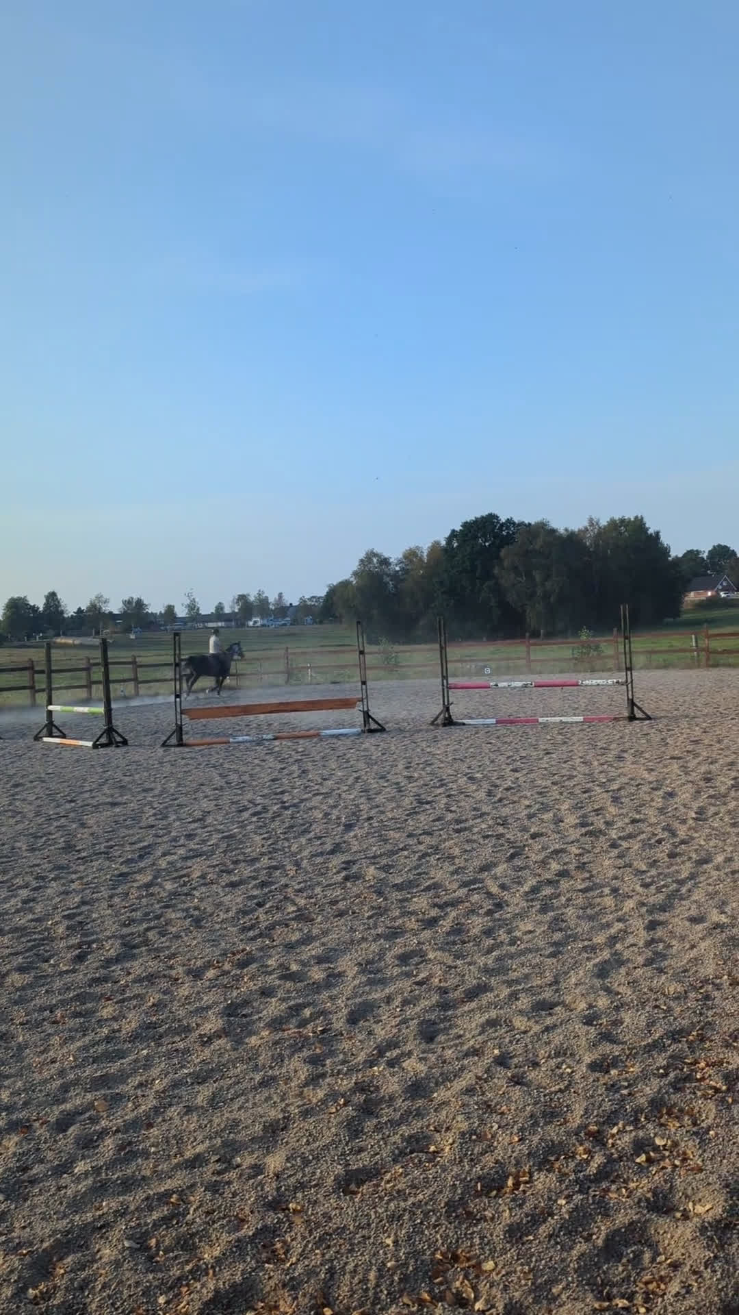 Allround hästar till salu: Lyxig allroundhäst i Klippan - Video 3