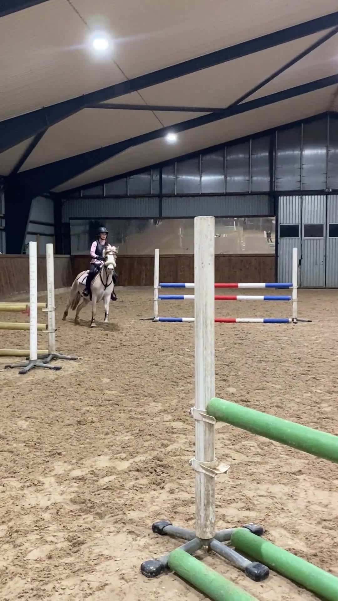 Hoppning hästar till salu: Hoppglad c-ponny  - Video 3