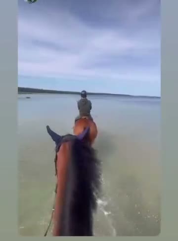 Allround hästar till salu: Valack med stort hjärta! i Ludvigsborg - Video 4